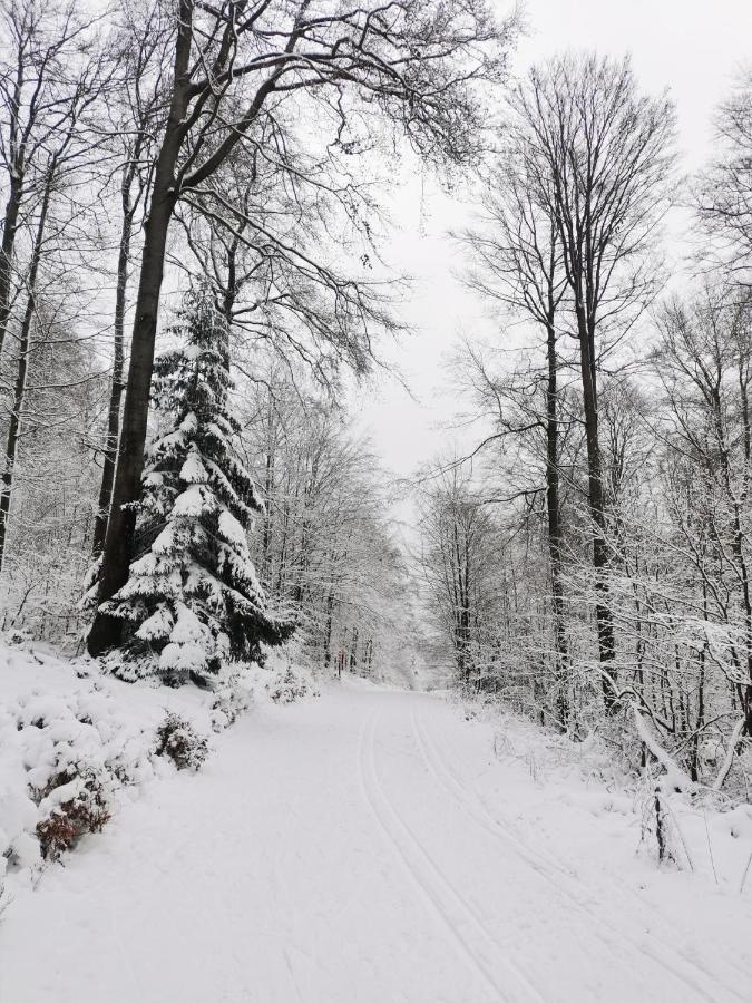 Apartment Diemelseeholiday Romantisches Im Sauerland Naehe Willingen Winterberg